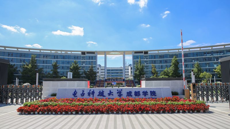 电子加工定制：揭秘选厂家的关键因素